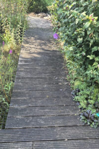 Terras oude situatie
